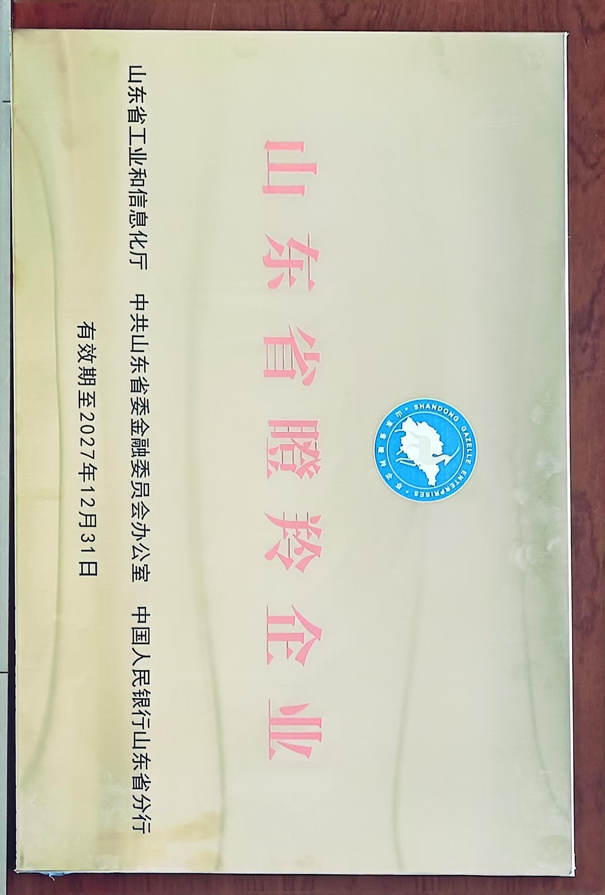  山東省瞪羚企業(yè)